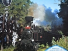 Parní lokomotiva 422.025