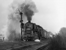 Parní lokomotiva 556.0455
